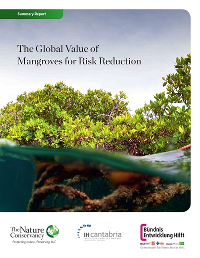 Cover Mangroven Report TNC BEH