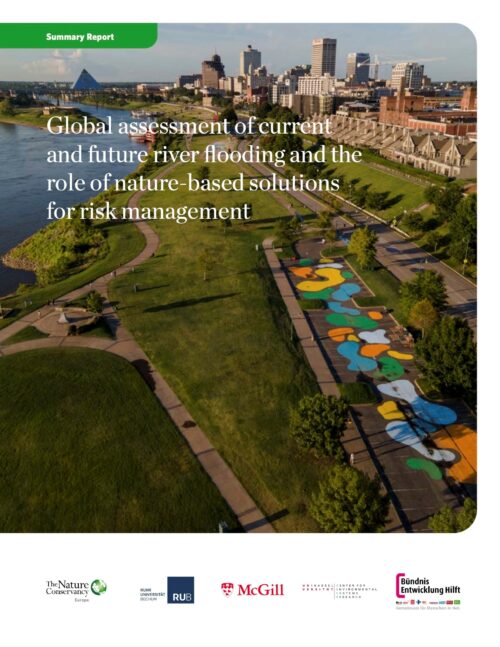 Cover TNC Report Global-Riverine-Flood-Assessment Summary Report