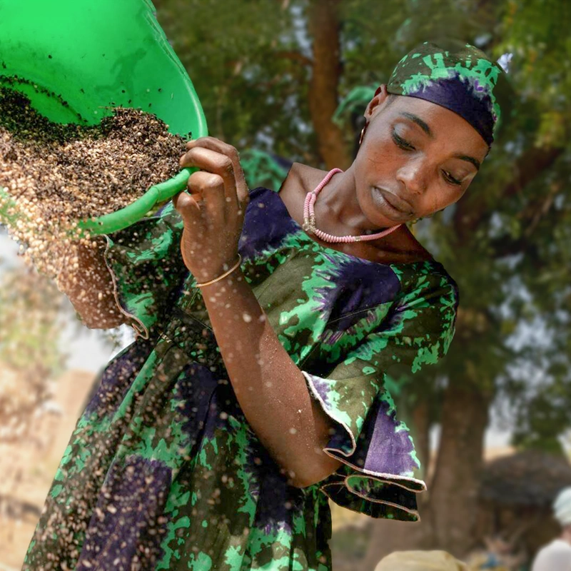 Frau aus Burkina Faso bei der Ernte